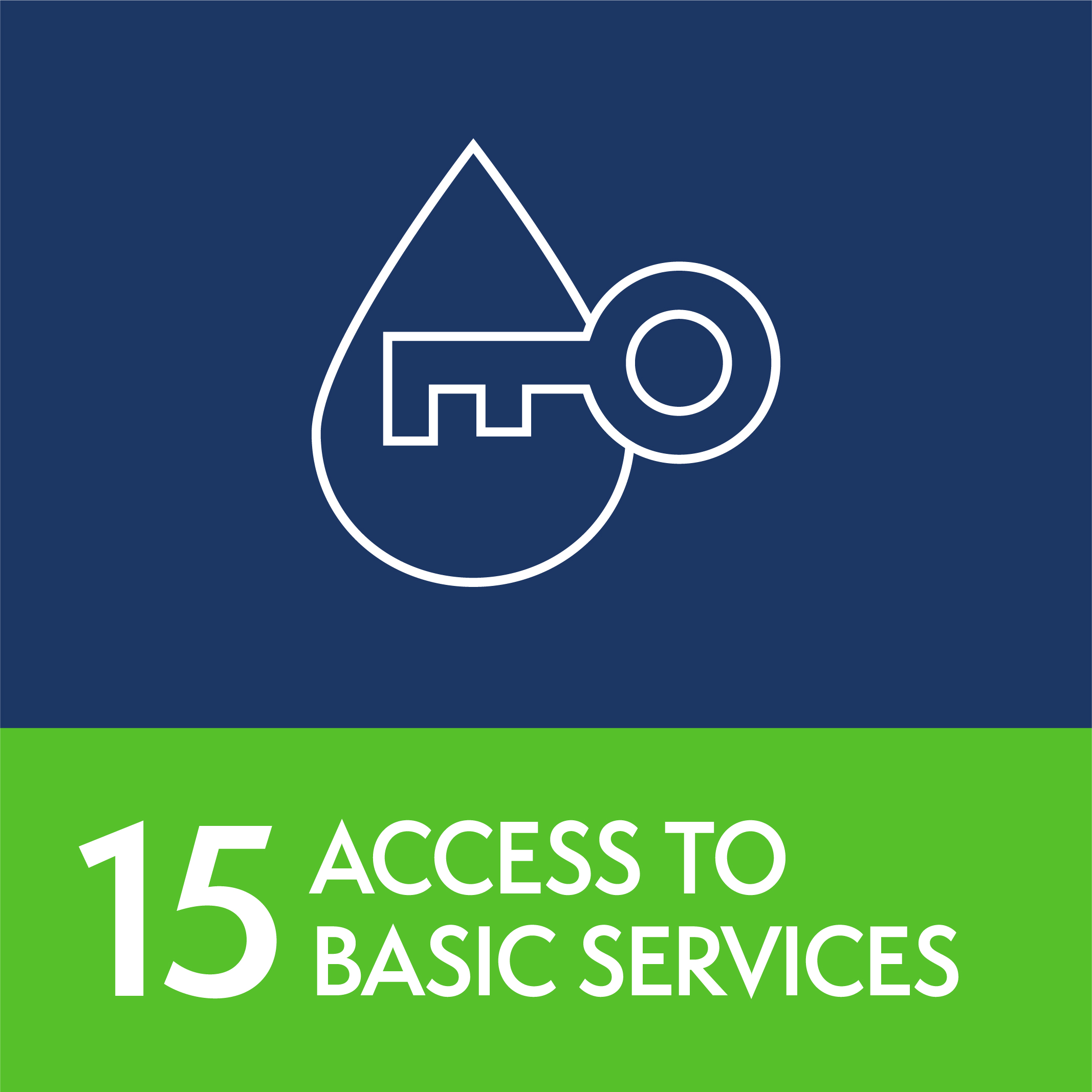 15 - Access to basic services