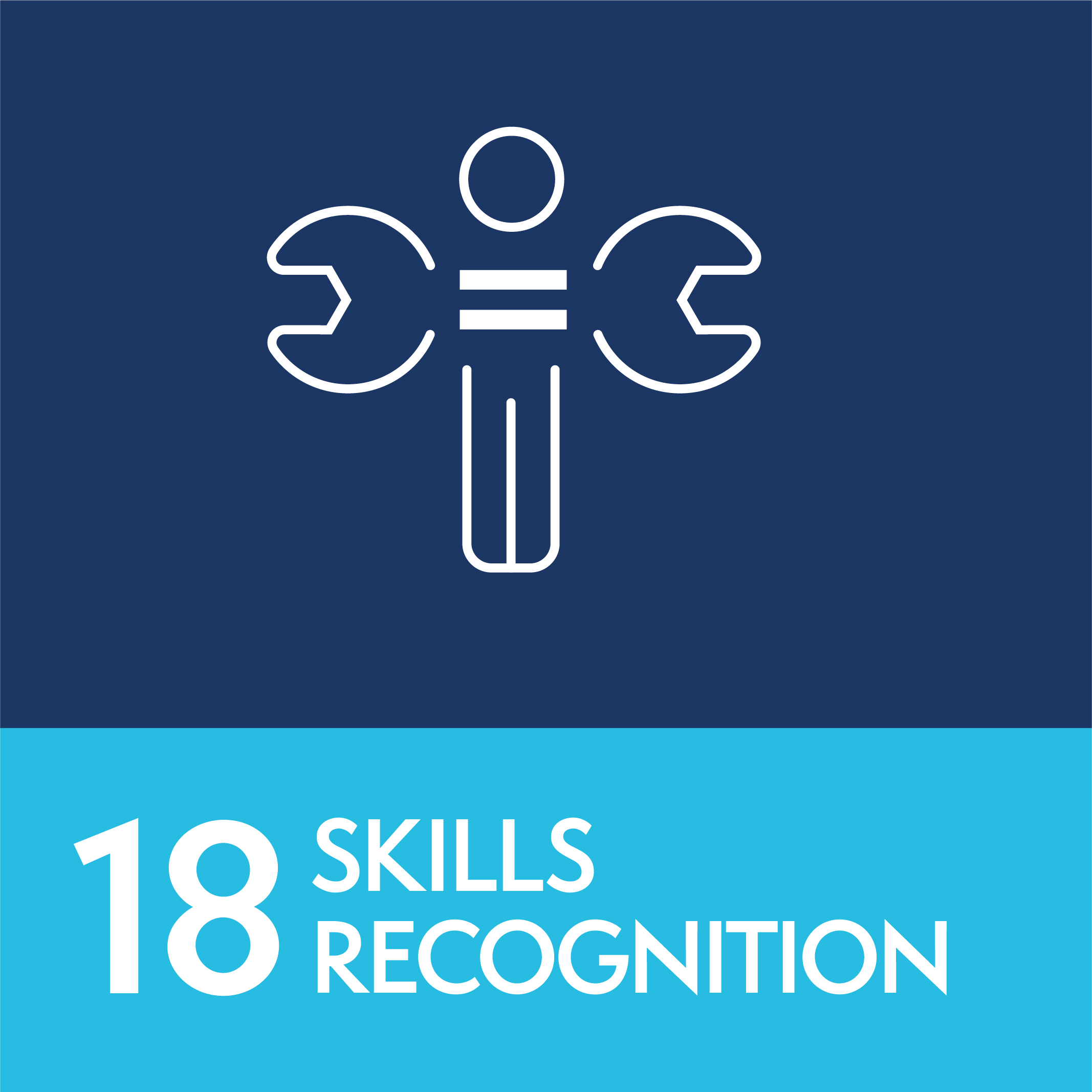 18 - Skills recognition