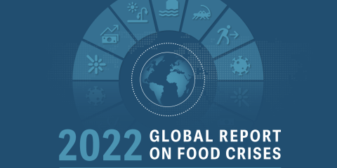 The Global Report on Food Crises 2022