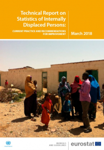 Technical Report on Statistics of Internally Displaced Persons