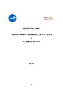 COMESA Region - Migration Statistics