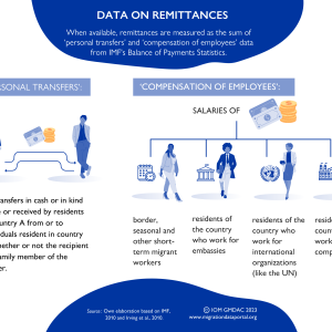 Remittances Data IG