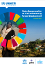 Data disaggregation of SDG indicators by forced displacement