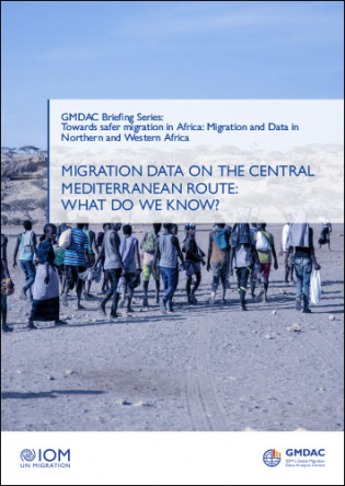 Migration data on the Central Mediterranean Route: What do we know?