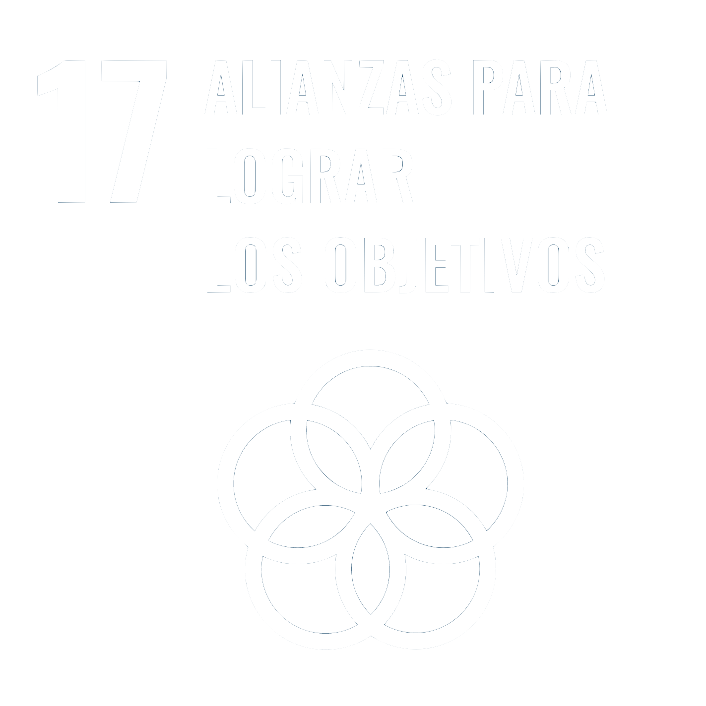 SDG17_Spanish