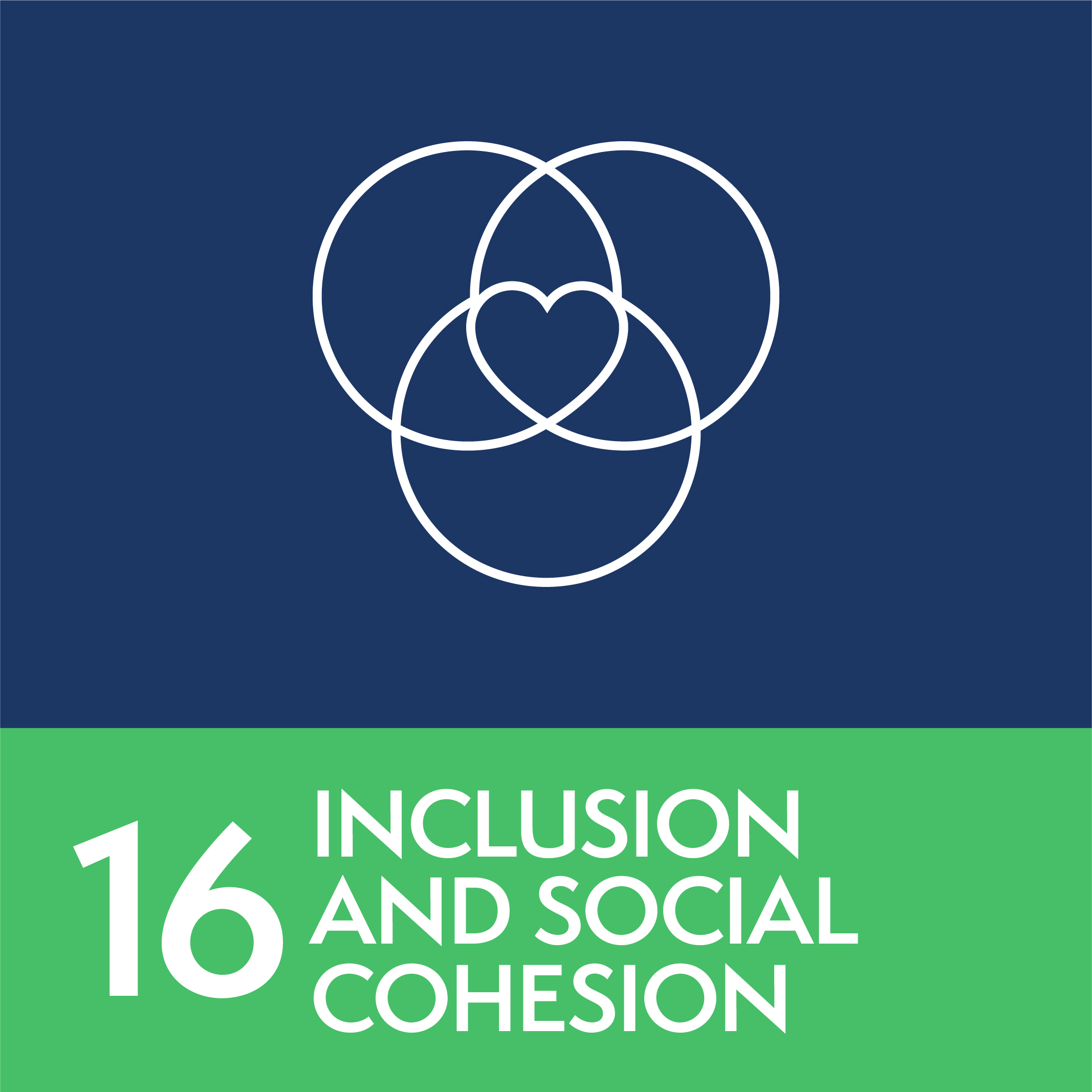 16 - inclusion and social cohesion