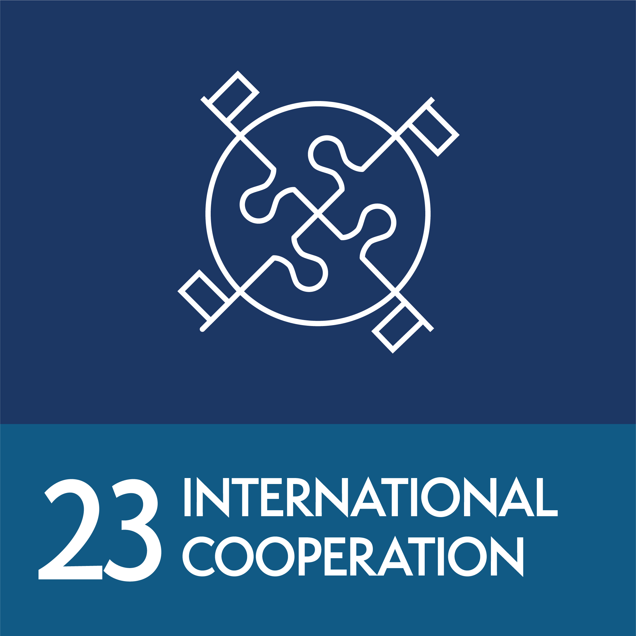 23 - International cooperation