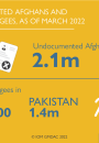 Undocumented Afghans